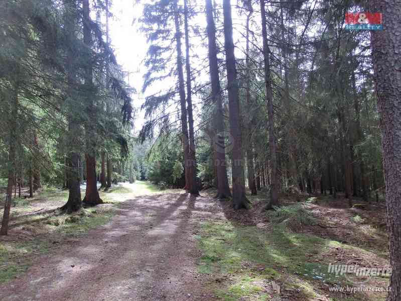 Prodej lesa, 12711 m?, Vlašim - foto 6