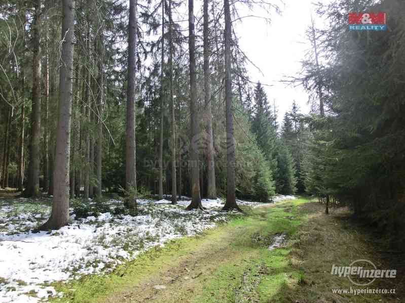 Prodej lesa, 12711 m?, Vlašim - foto 7