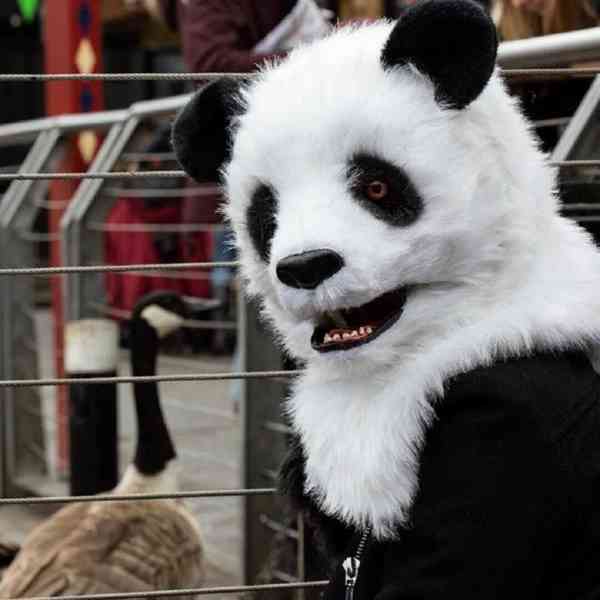 Prodám zvířecí masku "Panda" s otevírací tlamou. Cena 500 Kč - foto 2