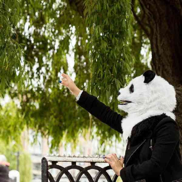 Prodám zvířecí masku "Panda" s otevírací tlamou. Cena 500 Kč - foto 3