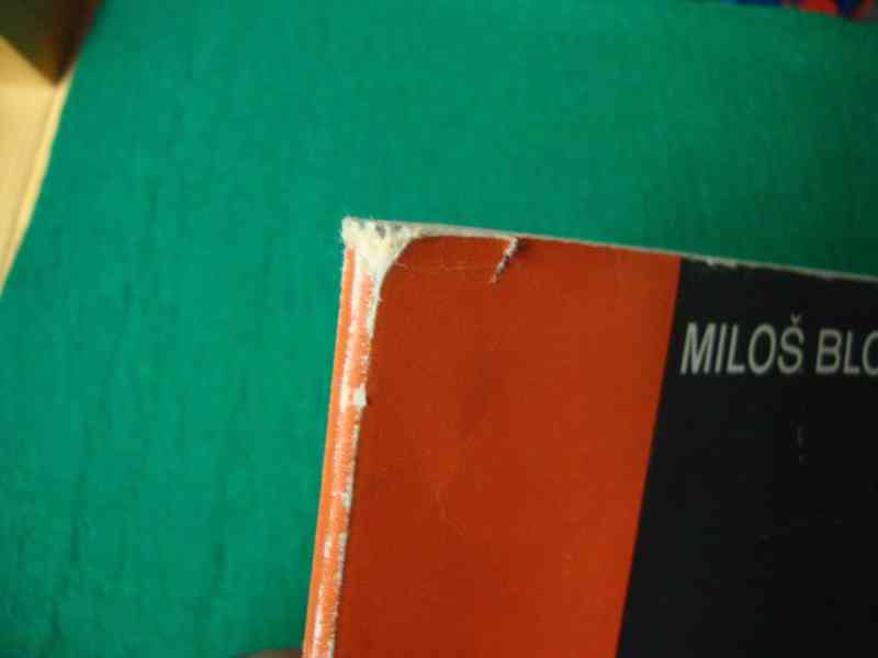 Rarita Miloš Bloch V. Ambrosi Fotografie v reklamě pěkný - foto 17