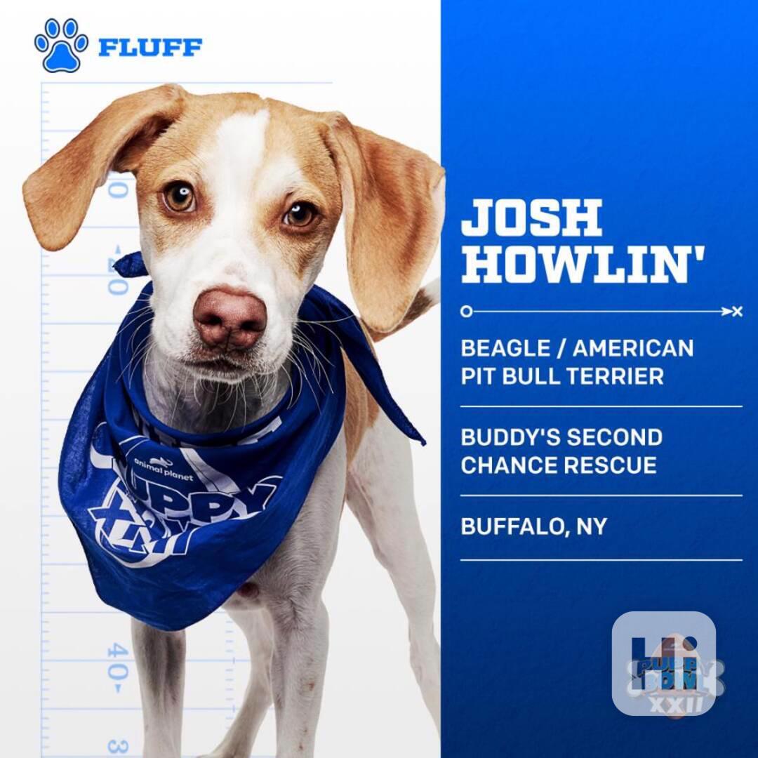 gfrew3efgfref - foto 1