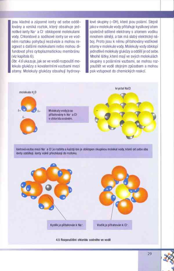 Biologie buněk – Závodská v PDF, e-kniha - foto 9