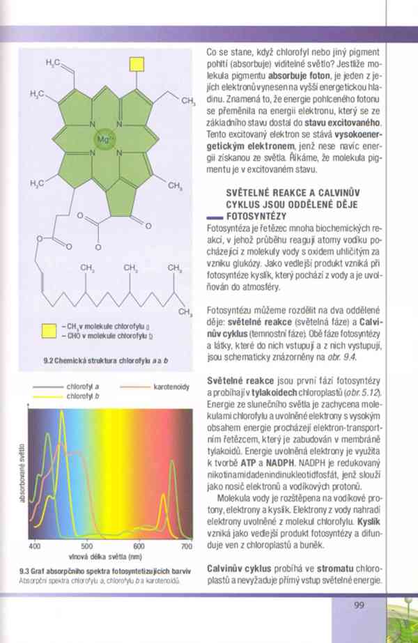 Biologie buněk – Závodská v PDF, e-kniha - foto 18