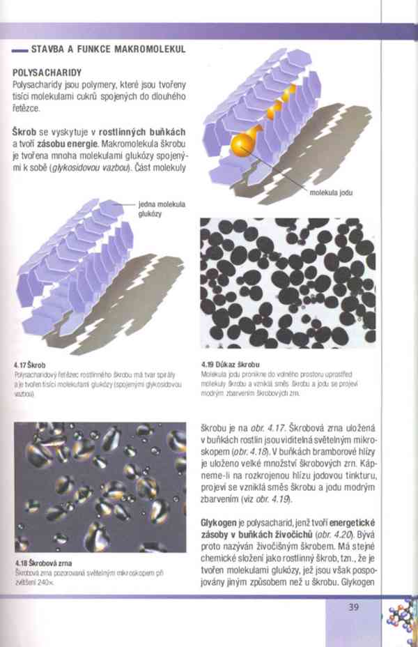 Biologie buněk – Závodská v PDF, e-kniha - foto 10