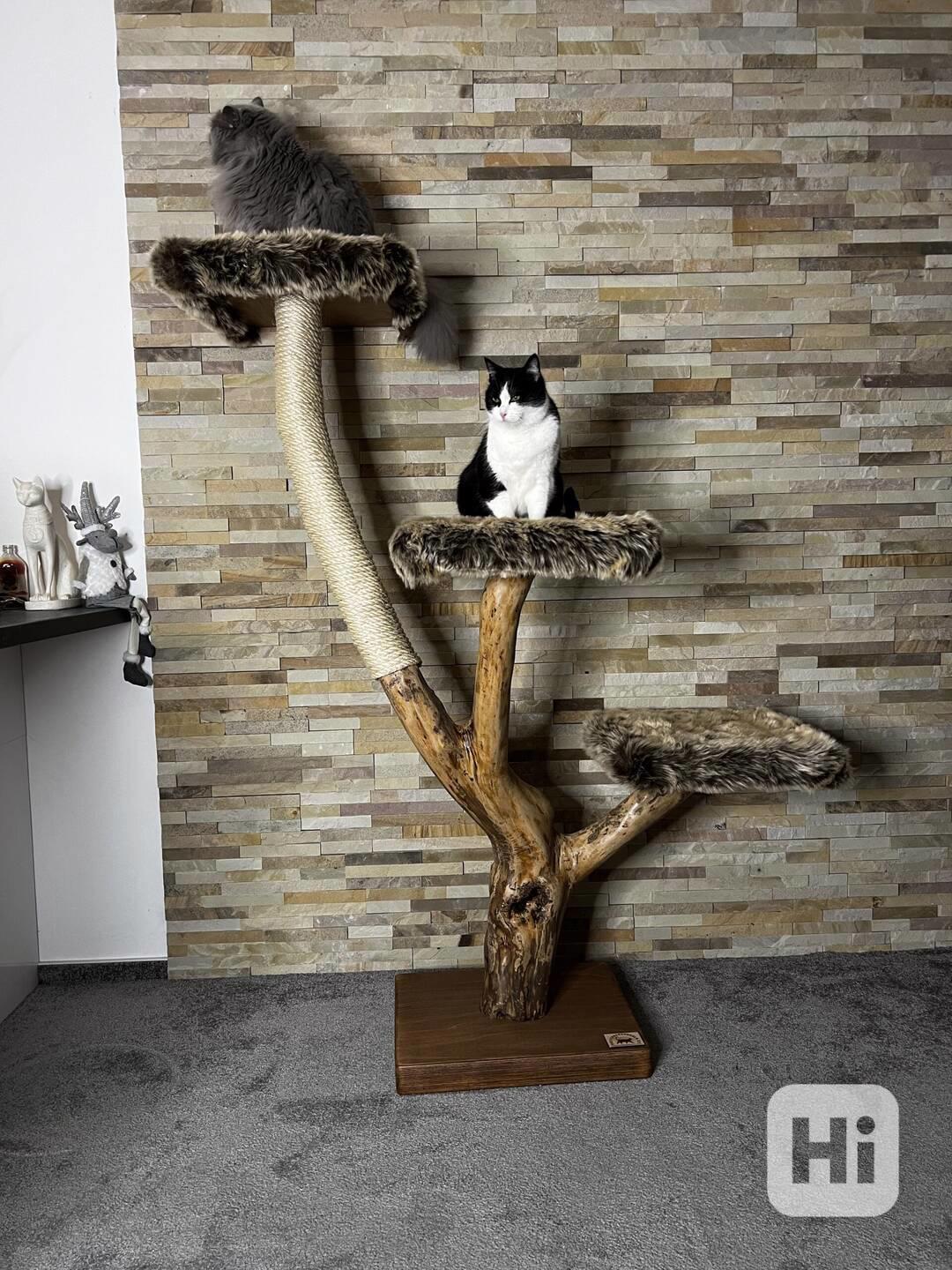 Kočičí stromy a škrabadla  - foto 1