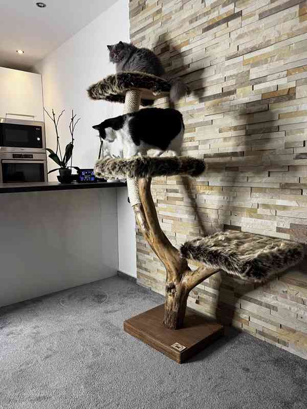 Kočičí stromy a škrabadla  - foto 2