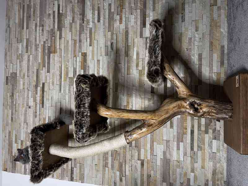 Kočičí stromy a škrabadla  - foto 3