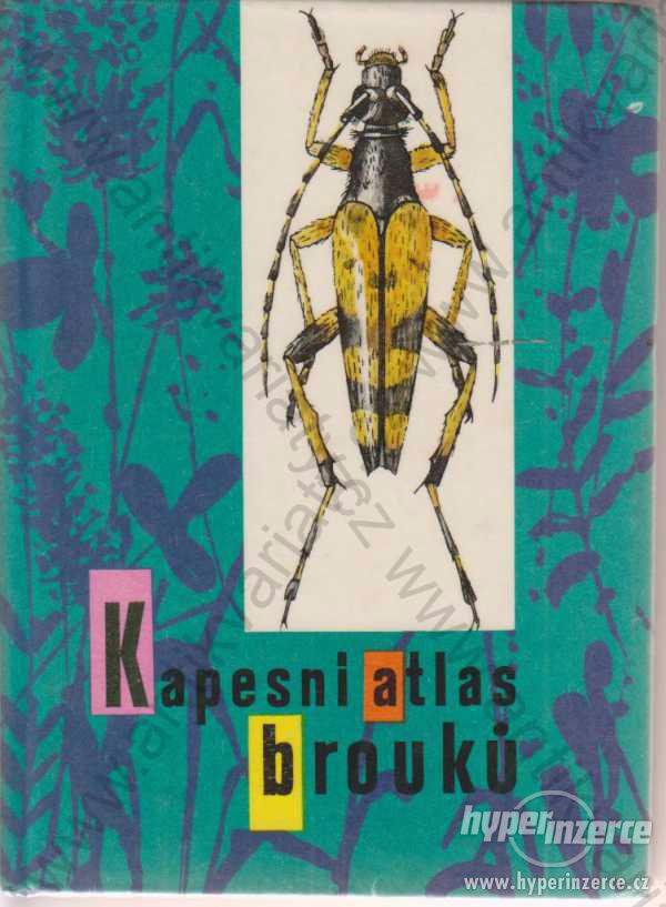 Kapesní atlas brouků Vladimír Javorek 1968 SPN - foto 1