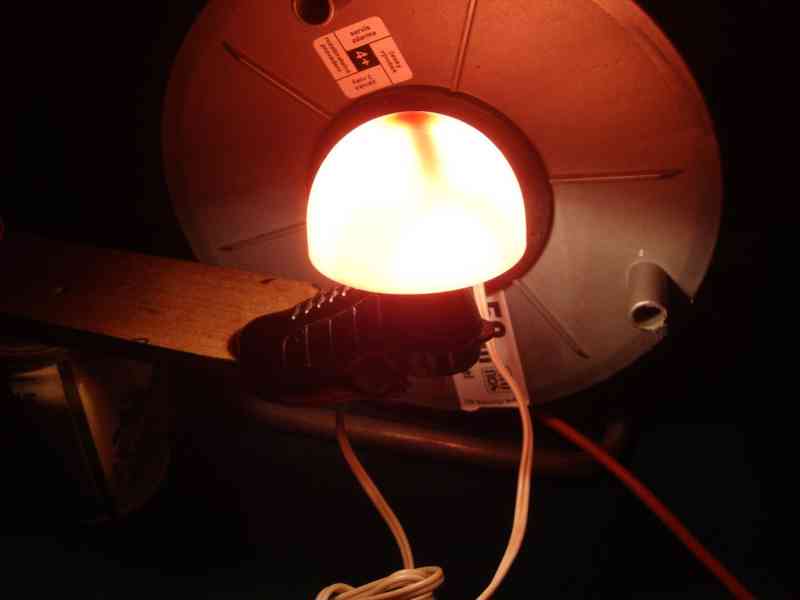 Malá bakelitová lampička fotbalová kopačka a míč rare svítí - foto 16