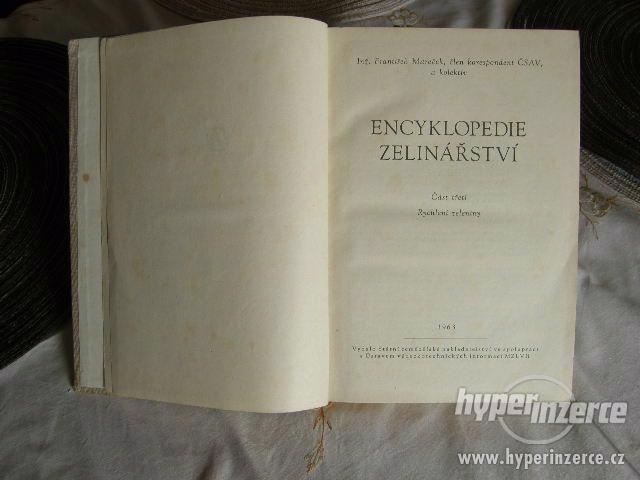 Encyklopedie zelinářství - foto 2