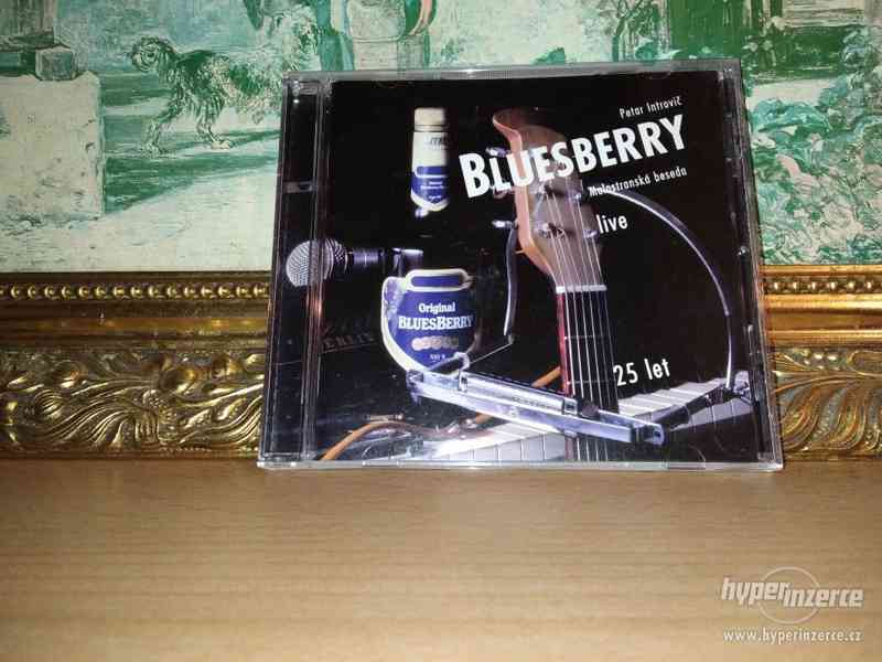 CD Bluesberry Petar Introvič Malostranská Beseda - foto 1