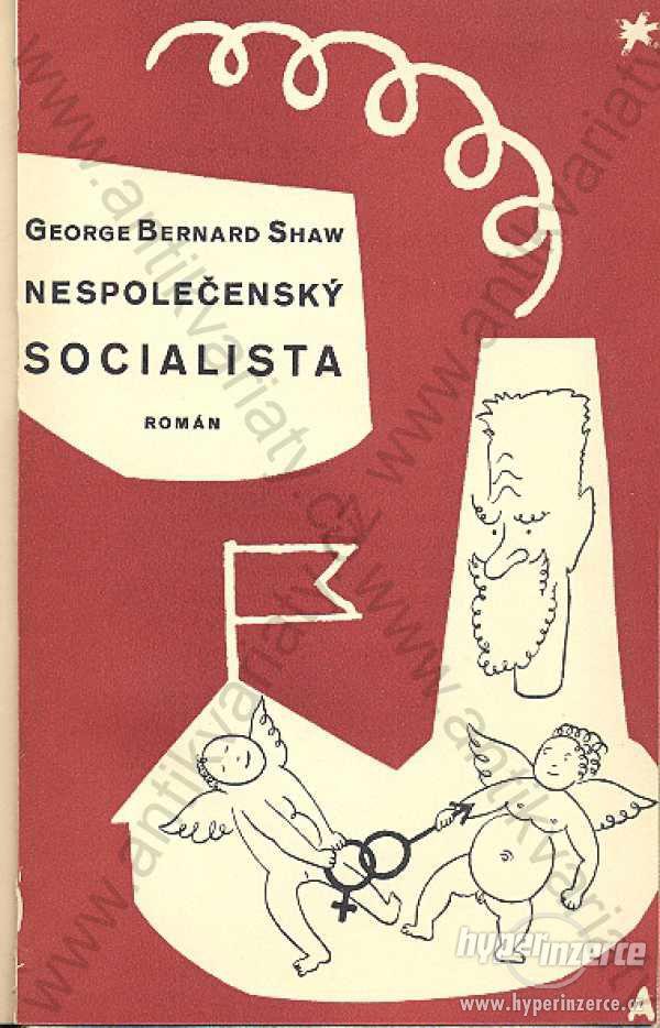 Nespolečenský socialista G. B. Shaw 1931 - foto 1