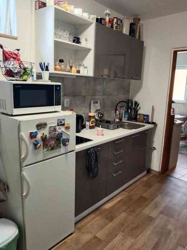 RD Říčany u Brna 3 bytové jednotky  - foto 7