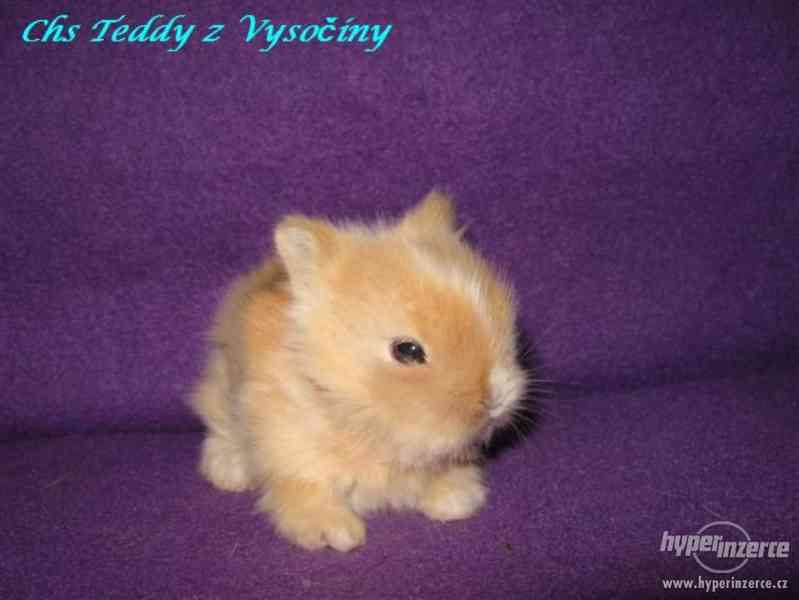 Teddy miminka s VP - foto 2