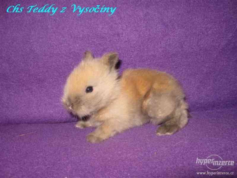 Teddy miminka s VP - foto 3
