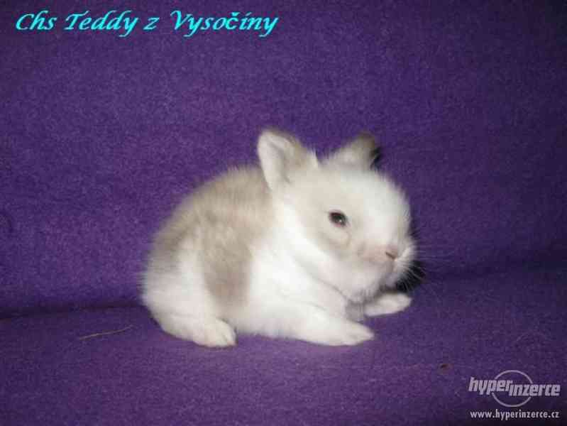 Teddy miminka s VP - foto 4