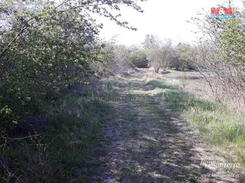 Prodej, pozemky, 48 534 m2, Kojetice - foto 10