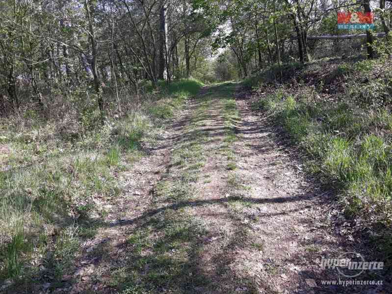 Prodej, pozemky, 48 534 m2, Kojetice - foto 11