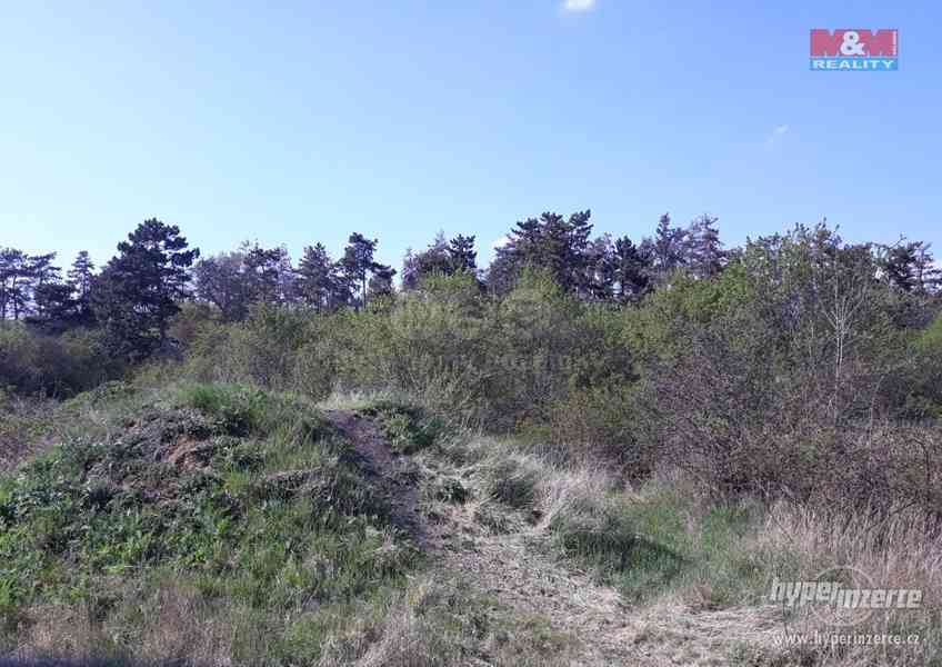 Prodej, pozemky, 48 534 m2, Kojetice - foto 12