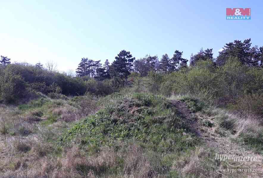 Prodej, pozemky, 48 534 m2, Kojetice - foto 13