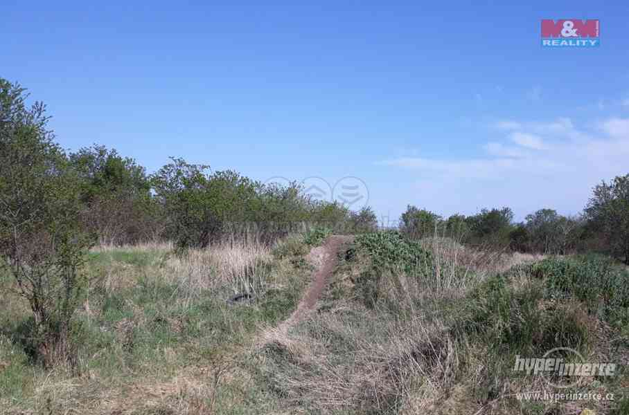 Prodej, pozemky, 48 534 m2, Kojetice - foto 14