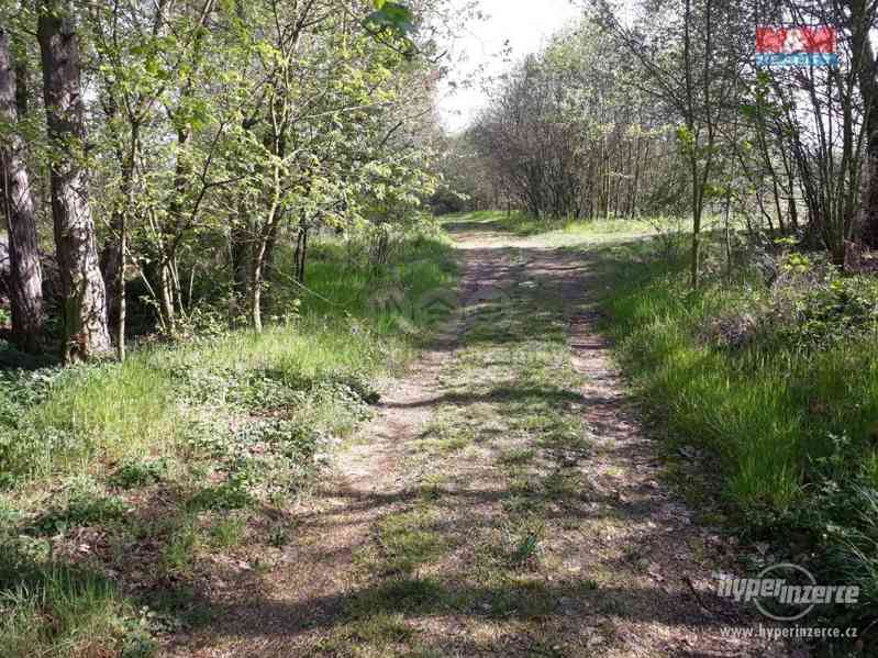 Prodej, pozemky, 48 534 m2, Kojetice - foto 15