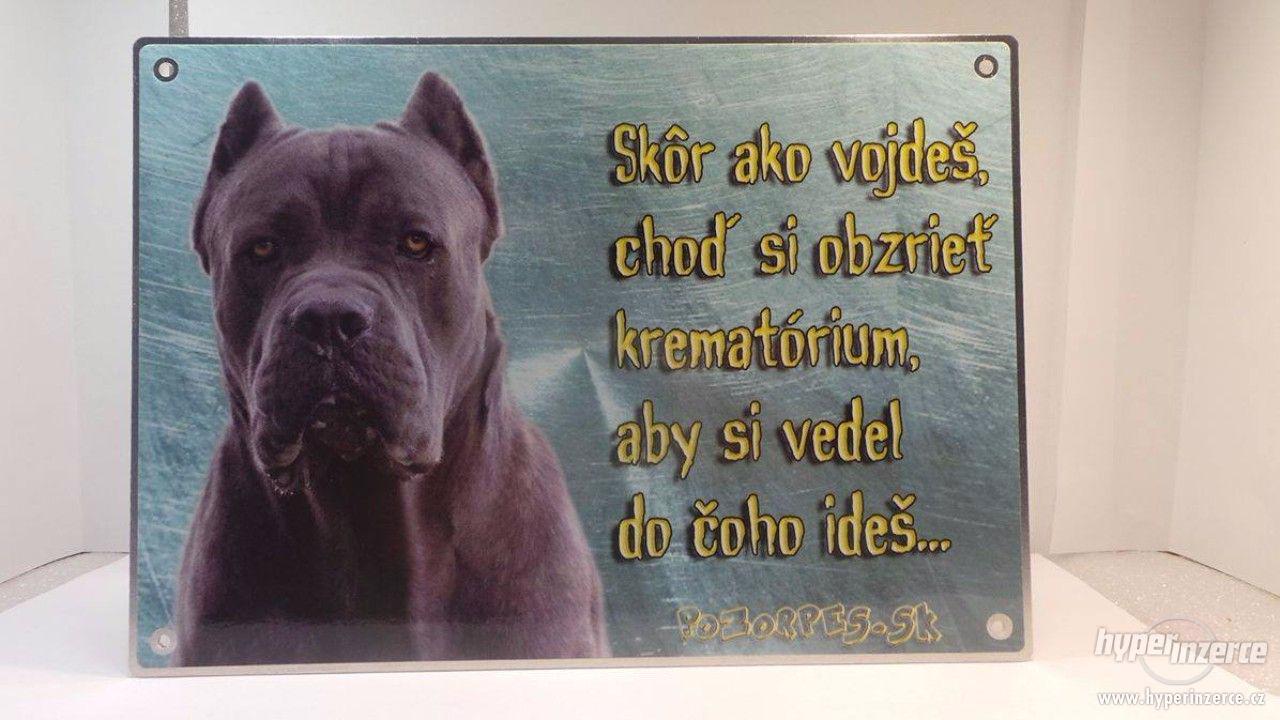 Výstražní cedule pozor pes - foto 1