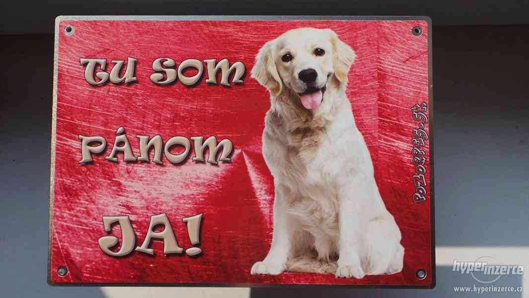 Výstražní cedule pozor pes - foto 3