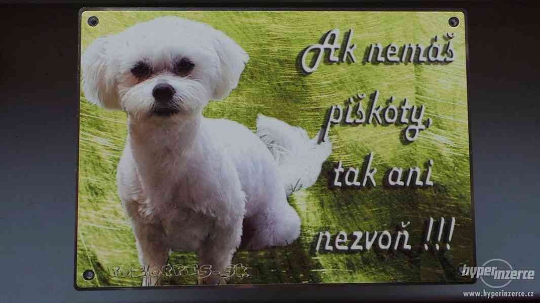 Výstražní cedule pozor pes - foto 5
