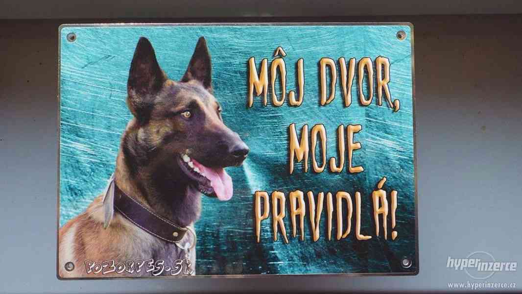 Výstražní cedule pozor pes - foto 6