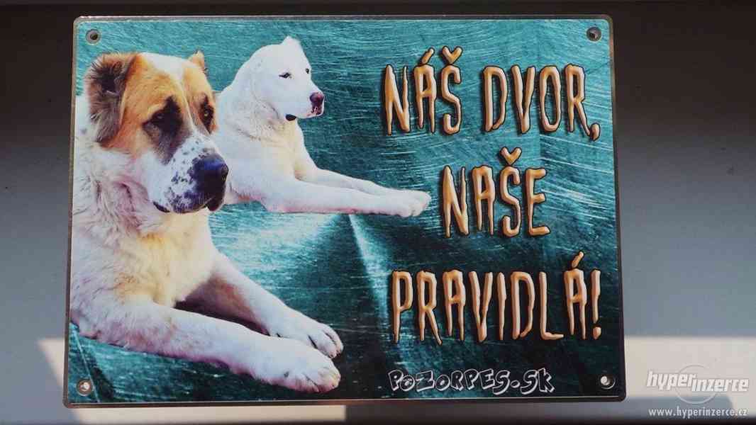 Výstražní cedule pozor pes - foto 7