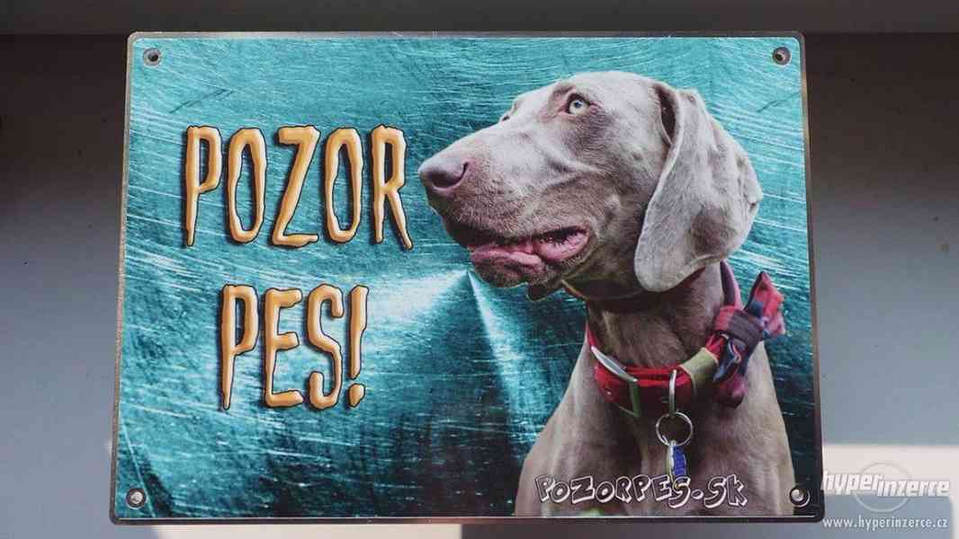 Výstražní cedule pozor pes - foto 8