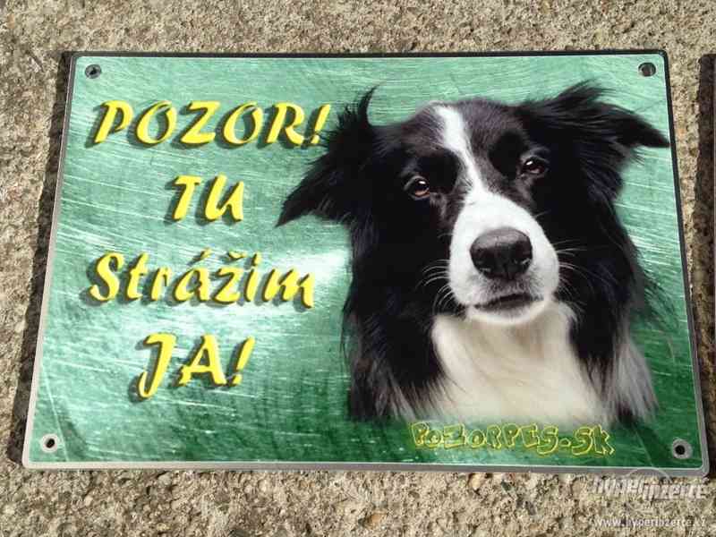 Výstražní cedule pozor pes - foto 10