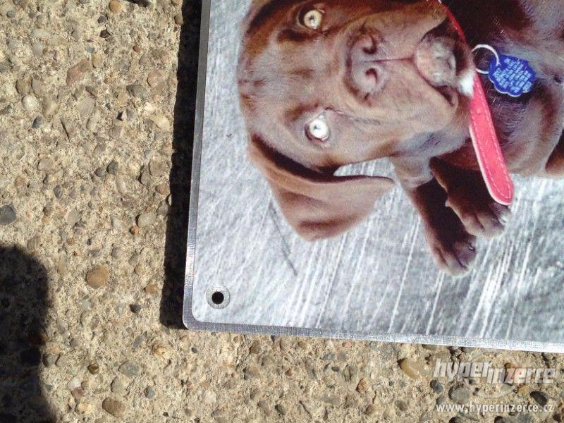 Výstražní cedule pozor pes - foto 11