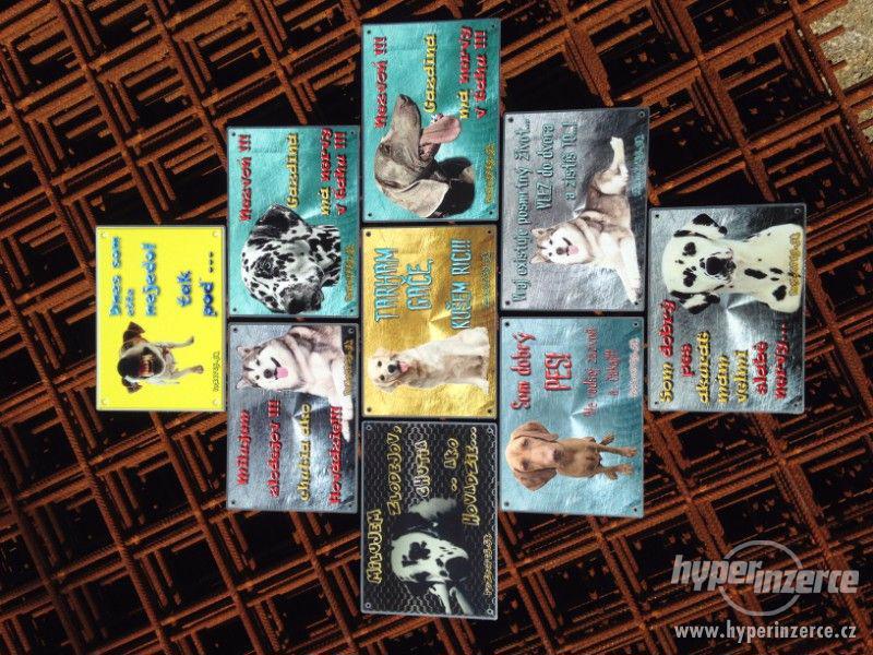 Výstražní cedule pozor pes - foto 12