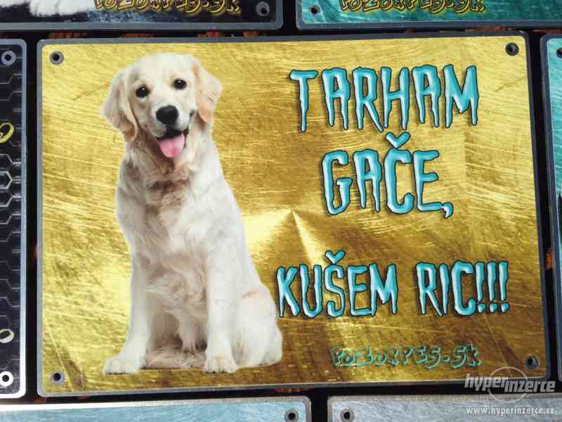 Výstražní cedule pozor pes - foto 13