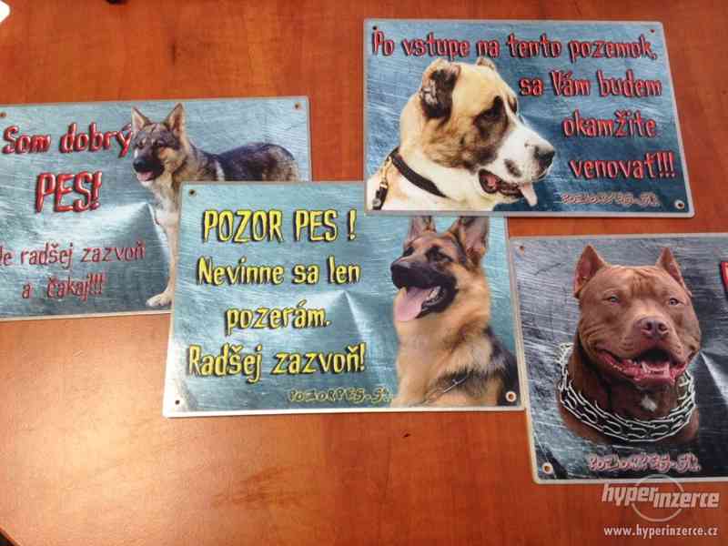 Výstražní cedule pozor pes - foto 14