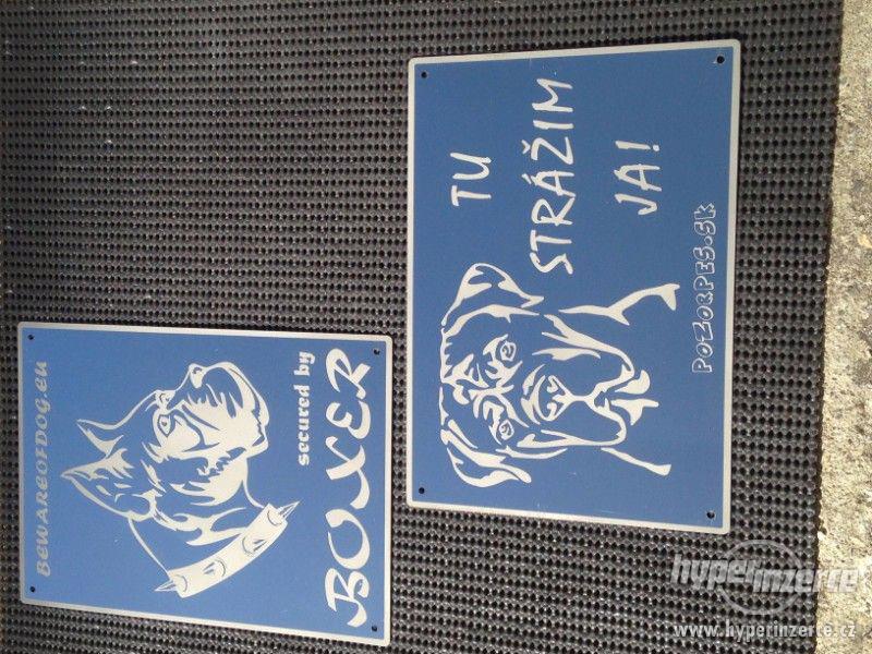 Výstražní cedule pozor pes - foto 18