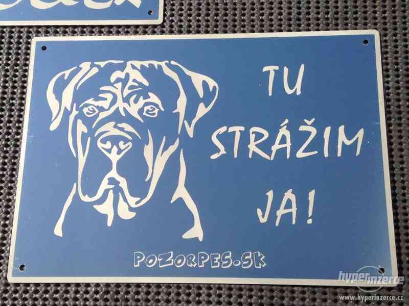 Výstražní cedule pozor pes - foto 19