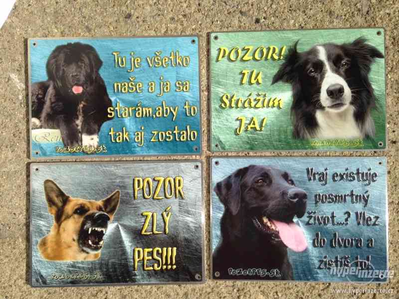 Výstražní cedule pozor pes - foto 20