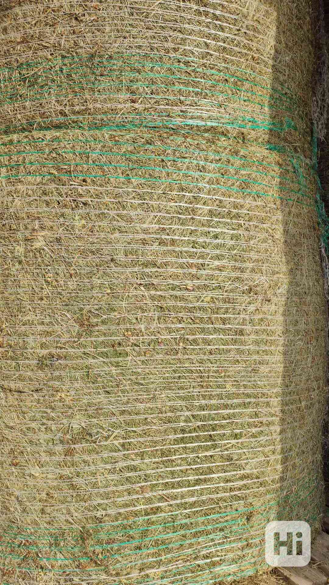 BIO SENO NEJVYŠŠÍ KVALITY CERTIFIKOVANÉ SKLADOVANÉ S DOPRAVO - foto 1