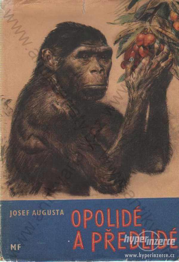 Opolidé a předlidé Josef Augusta 1961 - foto 1