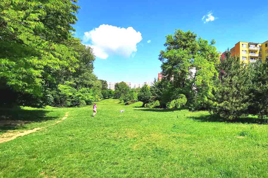 Pronajmu novostavbu 2+kk Brno, U Leskavy, 55 m2 - foto 23