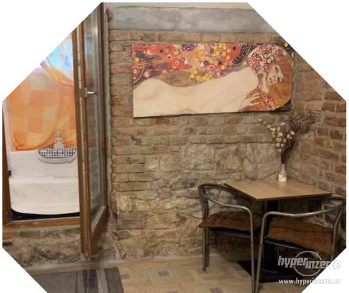 Apartmány ul. Benátská 1714/7, 128 00 Praha 1 - foto 5