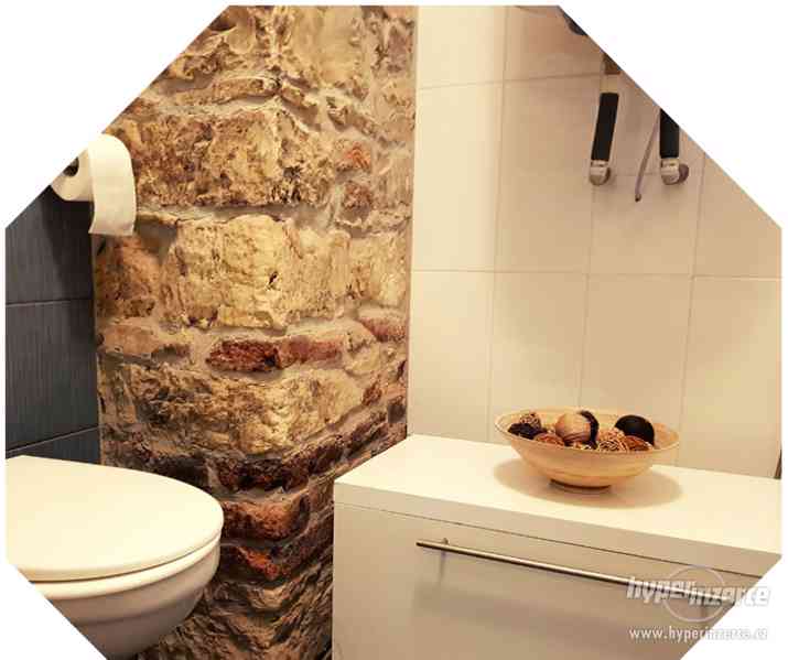 Apartmány ul. Benátská 1714/7, 128 00 Praha 1 - foto 7