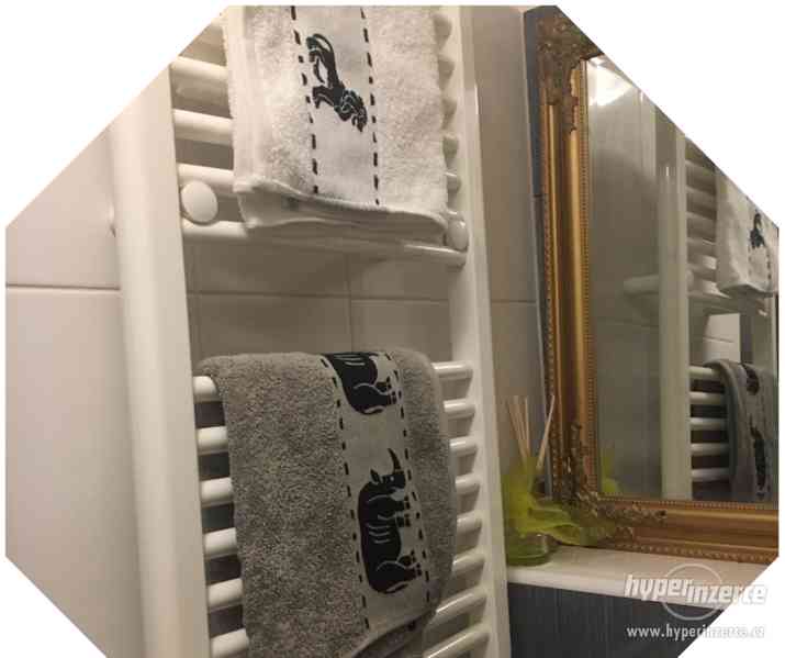 Apartmány ul. Benátská 1714/7, 128 00 Praha 1 - foto 9