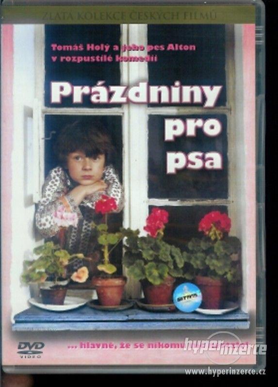 DVD Film Prázdniny pro psa - 1981   ČR, 1981 - foto 1