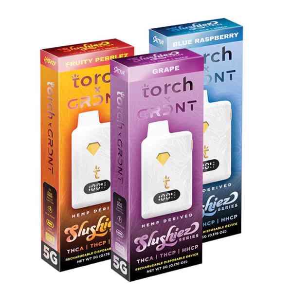 Torch x GRDNT Slushiez Series Disposable 5G In Lahore 