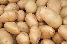 Konzumní brambory - foto 1